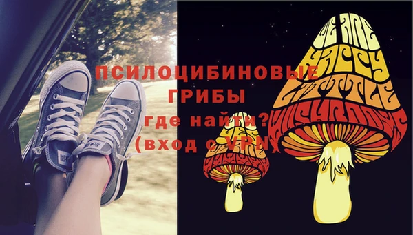 индика Абдулино