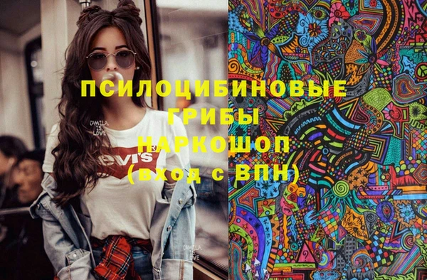тгк Алексин