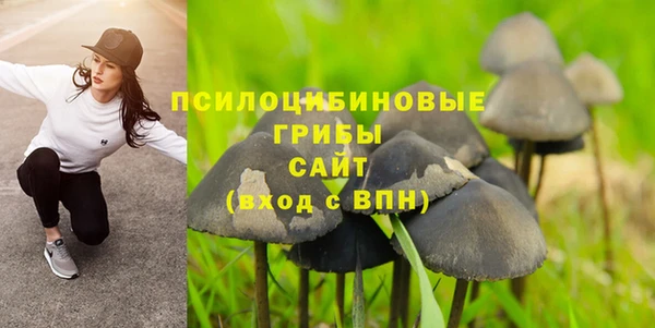 тгк Алексин