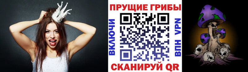 площадка клад  Темрюк  hydra маркетплейс  Галлюциногенные грибы Cubensis  где купить  